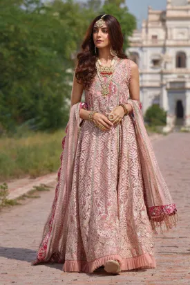 Crimson Luxe by Saira Shakira – Wedding Collection 2019 – D6-A Chikkankari - Blush